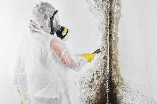 Best Crawl Space Mold Removal  in Oak Grove, OR